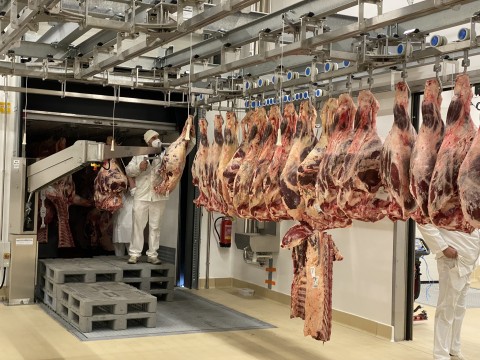 Бирельсовый подвесной путь для мясоперерабатывающего производства